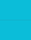 NextDayLabels 8-1/2 x 11 Neon High Light Fluorescent Labels - Bright