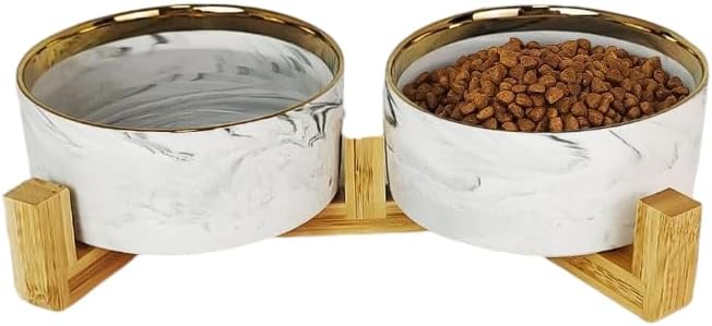 Ceramic Pet Bowl Set of 2 with Stand for Stylish Feeding