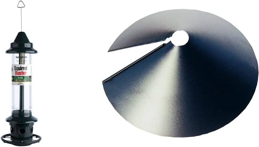 Squirrel Buster Plus Squirrel-Proof Bird Feeder for Birds