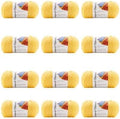 Soft Classic Solid Yarn 12 Pack - Bulk Acrylic Skeins for Knitting