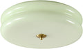Mid Century Modern Mint Green LED Ceiling Light - Soft Color Control