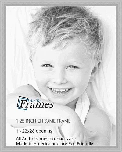 22x28 inch Chrome Stainless Steel Picture Frame for Art