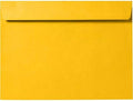 LUXPaper 6 x 9 Booklet Envelopes in Sunflower Yellow for All Needs