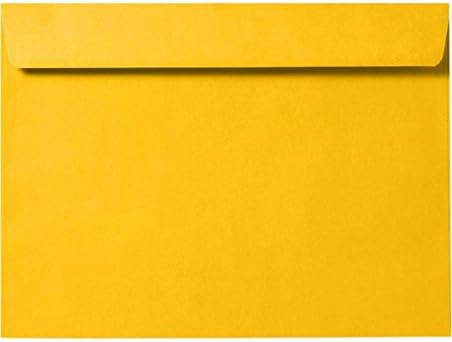 LUXPaper 6 x 9 Booklet Envelopes in Sunflower Yellow for All Needs