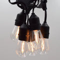 E26 Outdoor Commercial String Lights with Suspended Sockets - Durable