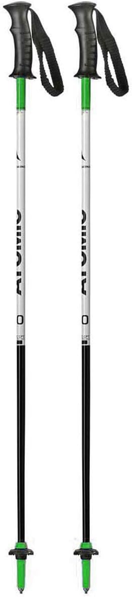 Atomic Rental Jr Ski Poles - Lightweight & Durable!