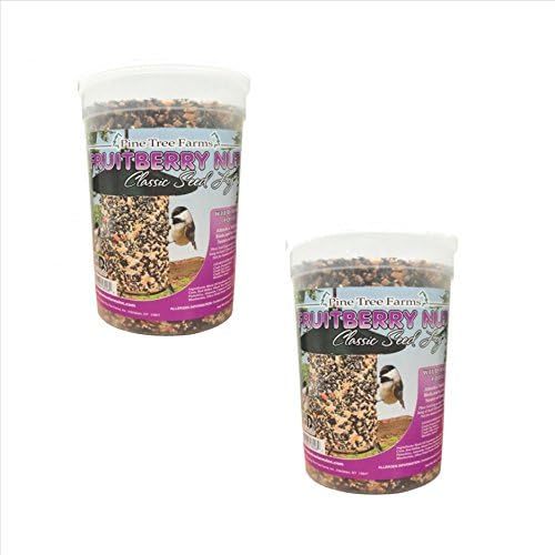 Fruit Berry Nut Classic Seed Log for Birds - 68-Ounce Pack