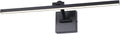 Black 23.6 in Dimmable Picture Light for Wall Art - Warm White