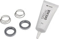 DT Swiss Service Upgrade Kit for Star Ratchet Hubs 54 Teeth SL - Quiet