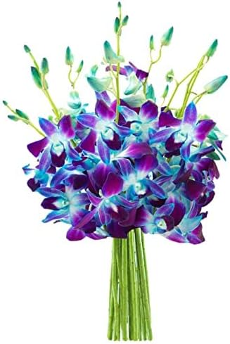 Exotic Sapphire Orchid Bouquet - Perfect Gift for Any Occasion