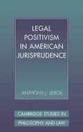 Legal Positivism in American Jurisprudence - Clear Guide to Modern