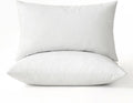 Pillows Queen Size Set of 2 Down Feather Throw Pillows 20x30 - Fluffy