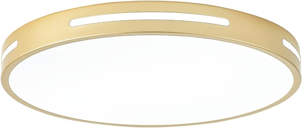 Gold Ceiling Light Flush Mount LED for Modern Home Spaces