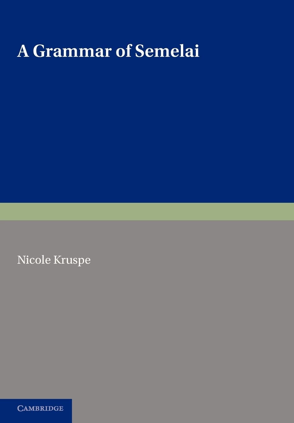 A Grammar of Semelai: Comprehensive Insights into Language Structure