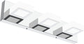 Dimmable LED Vanity Light 3-Light Acrylic Stainless Steel - Sleek