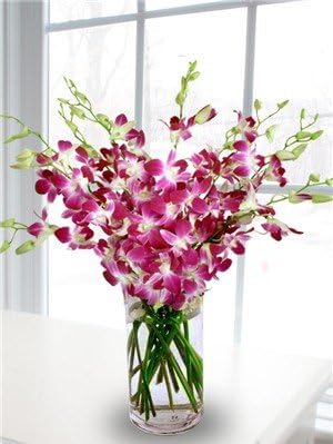 Premium Cut Purple Orchids Bouquet with Vase for Any Occasion