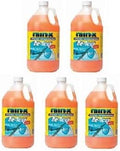 Windshield Washer Fluid - De Icer and Rain Repellant (5 Pack)