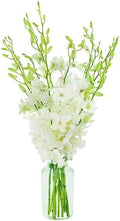 10 White Orchid Bouquet with Vase - Fresh Valentine Flowers