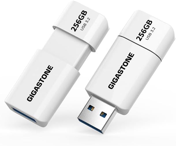 GIGASTONE 256GB Flash Drive 2 Pack Ultra Fast Data Storage