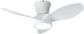 ocioc Quiet Ceiling Fan 32in with LED Light DC Motor - Low Noise, Big