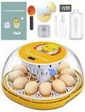 Egg Incubator-Incubators for Hatching Eggs - Automatic 12-Egg Hatcher