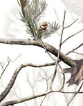 LensCoat Lens Cover for Canon 800 5.6 - Ultimate Protection