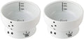 Necoichi Raised Cat Water Bowl for Easy Hydration and Safety