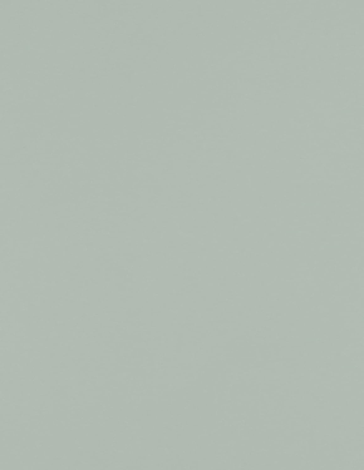 LUXPaper Slate Gray 8.5 x 11 Paper for All Your Needs