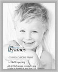ArtToFrames 24x30 in Chrome Stainless Steel Picture Frame - Modern