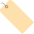 AVIDITI Shipping Tags Wired 5 1/4 in x 2 5/8 in 1000-Pack - Bulk