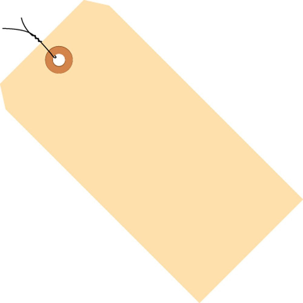 AVIDITI Shipping Tags Wired for Moving, Packing, and Storage