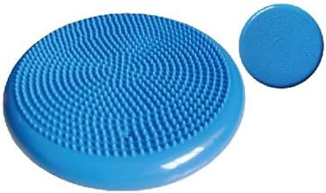Stable Core: Therapist's Choice Balance Disc
