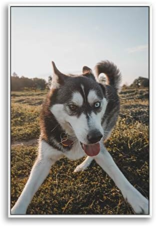 Custom Framed Canvas Prints for Pets - Personalized Wall Art