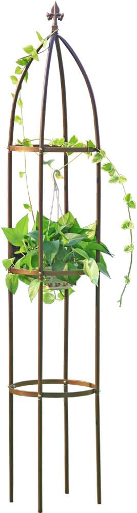 100% Metal Obelisk Garden Trellis for Climbing Vines and Flowers