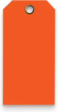 15 Mil Waterproof Plastic Tags 2 x 4 Pack of 100 - Heavy Duty Label