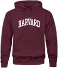 Ivysport Hooded Sweatshirt Unisex Essential Logo - Premium Cotton