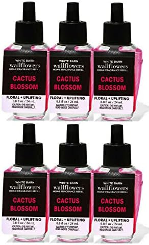 Cactus Blossom Wallflowers Fragrance Refill 6 Pack for Home