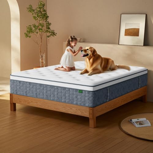 Queen Mattress 14 Inch Hybrid Memory Foam for Silent Sleep