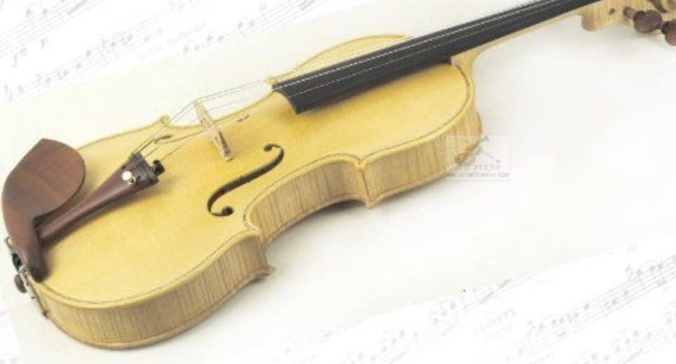 Blonde D Z Strad Violin 4/4 Full Size Handmade Concert Outfit