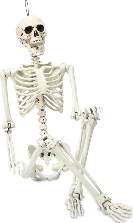 5.4ft Poseable Halloween Skeleton for Spooky Decorations