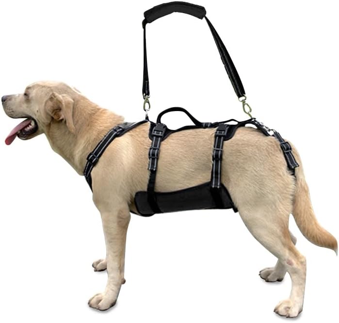 Coodeo Dog Lift Harness for Support and Recovery in Dogs