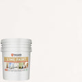 VASARI Lime Paint White Sand #12 5 Gallon - Natural Lime Finish