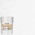 VASARI Lime Plaster & Paint Pearl White #18 - Natural Lime Paint 1