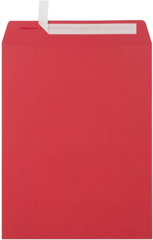 LUXPaper 10 x 13 Open End Envelopes for Business and Personal Use
