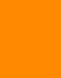 8-1/2 x 11 Neon Color High Light Fluorescent Labels - Orange Full