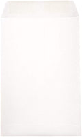 JAM PAPER 6 x 9 Open End Catalog Envelopes White - 250 Pack