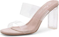 Clear Heels for Women - Transparent Two Strap Chunky Heels