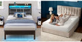Rolanstar Twin Bed Frame with 8in Gel Memory Foam Mattress - LED USB
