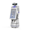 Aobo Human Size Service Robot Hotel Reception Robot - Guided AI
