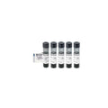 Methylene Blue Powder USP/Pharma Grade 5g - High Purity Lab Use